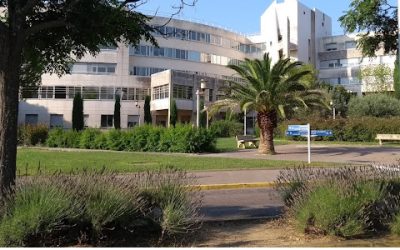 Découvrez les marchés du CHU de Montpellier pour 2025